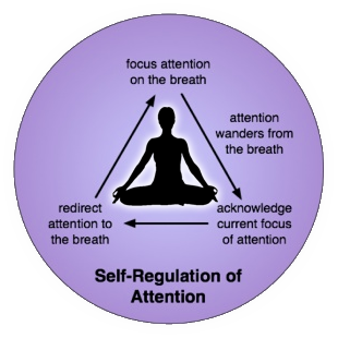 meditation-attention- ...