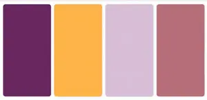 Clothes Color for Different Occasions