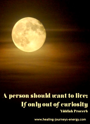 Quote - Life and Curiosity