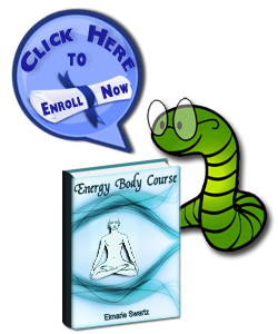 The Energy Body Course