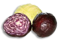 Cabbage - Colorful Recipes