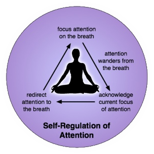 Self Regulation of Attention