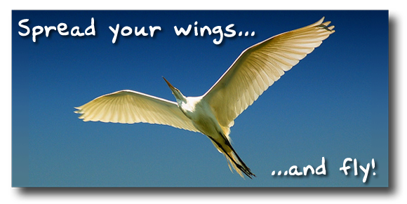 Spread your wings!