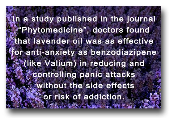 Lavender Oil