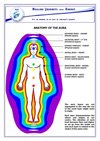 Anatomy of the Aura Chart