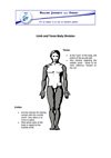 Body Wisdom Charts