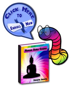 The Human Aura Course