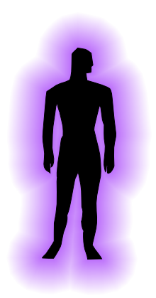 Subtle Energy Bodies - Causal Body
