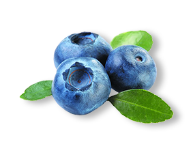 Blueberries - The Blue Ray