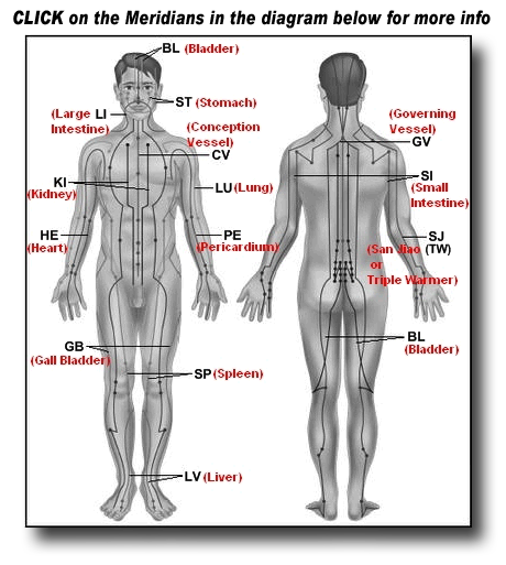 12 Major Meridians